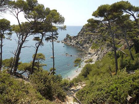A 500 Metres Des Plages Et Du Port Du Brusc, Les Terrasses Des Embiez Avec Piscine Et Spa Six-Fours-les-Plages Eksteriør bilde